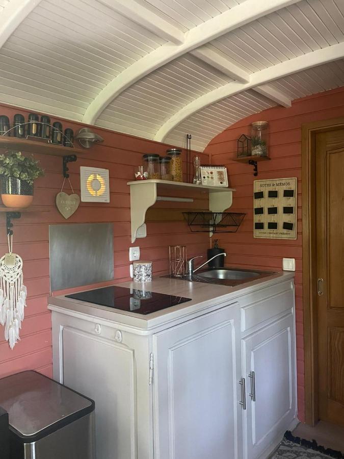 Гостевой дом Roulotte En Bois Sud France Le Soler Экстерьер фото