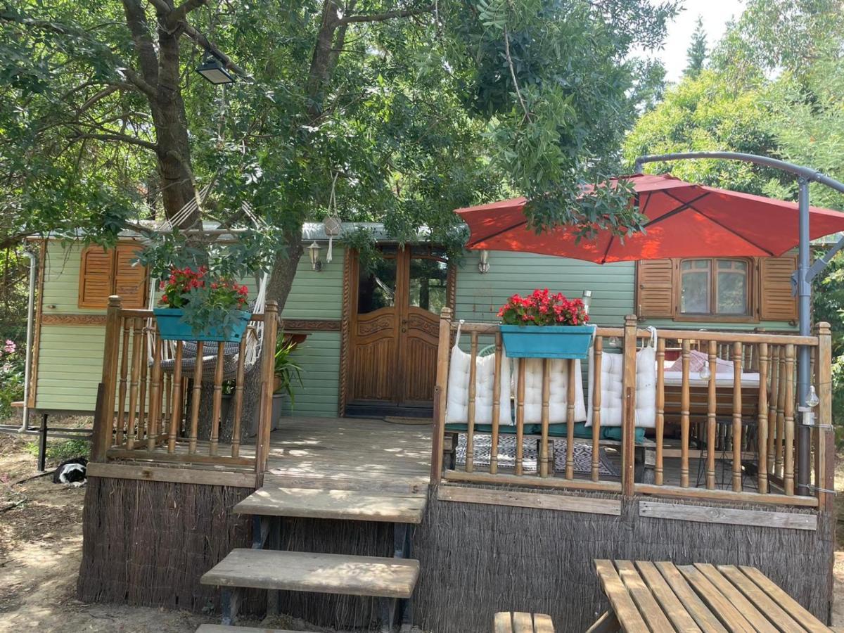 Гостевой дом Roulotte En Bois Sud France Le Soler Экстерьер фото
