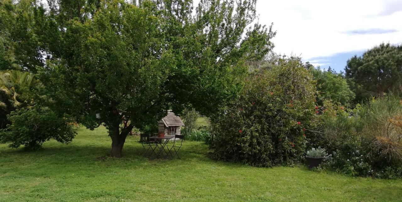 Гостевой дом Roulotte En Bois Sud France Le Soler Экстерьер фото