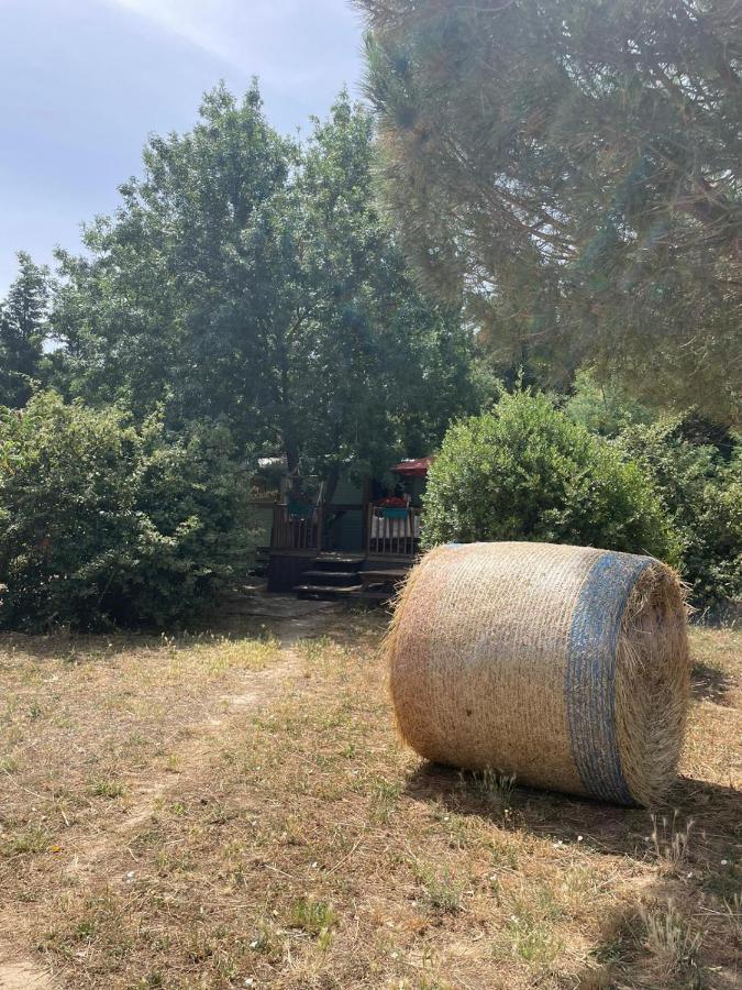 Гостевой дом Roulotte En Bois Sud France Le Soler Экстерьер фото