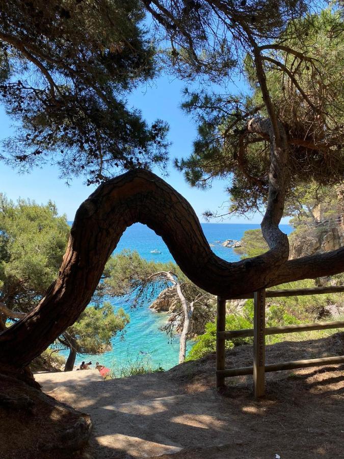 Гостевой дом Roulotte En Bois Sud France Le Soler Экстерьер фото